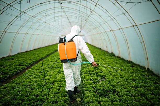 Best Mosquito Control Services  in Orange Cove, CA