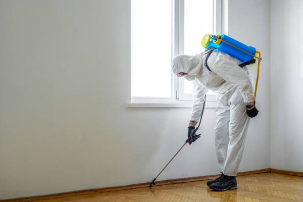 Best Pest Removal Services  in Orange Cove, CA