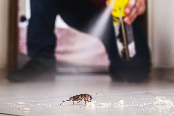 Best Affordable Pest Control Services  in Orange Cove, CA